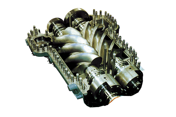 Process oil-free screw compressor
